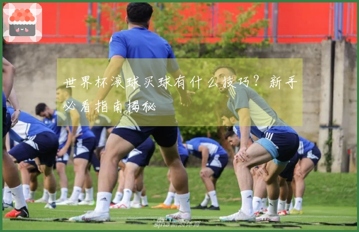 世界杯滚球买球有什么技巧？新手必看指南揭秘