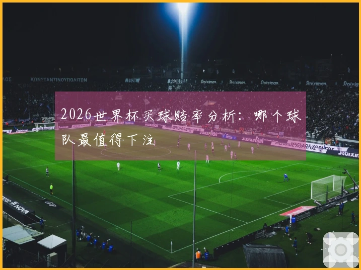 2026世界杯买球赔率分析：哪个球队最值得下注