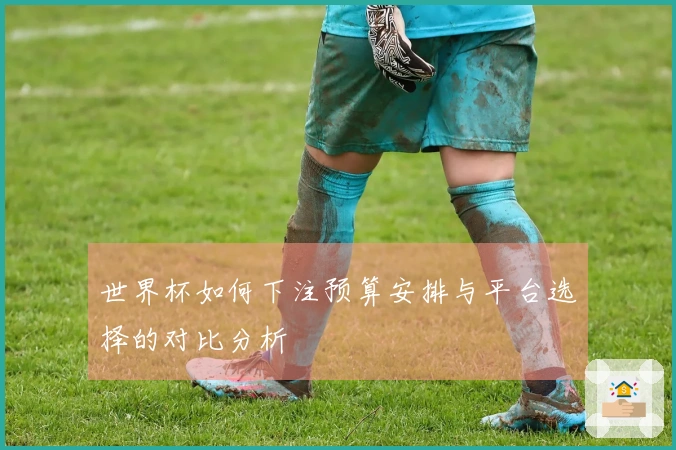 世界杯如何下注预算安排与平台选择的对比分析