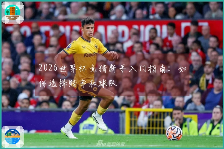 2026世界杯竞猜新手入门指南：如何选择赔率和球队