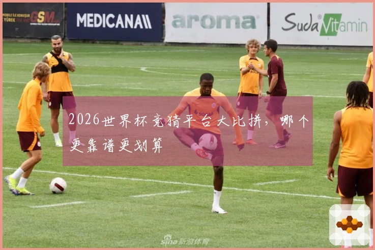2026世界杯竞猜平台大比拼，哪个更靠谱更划算
