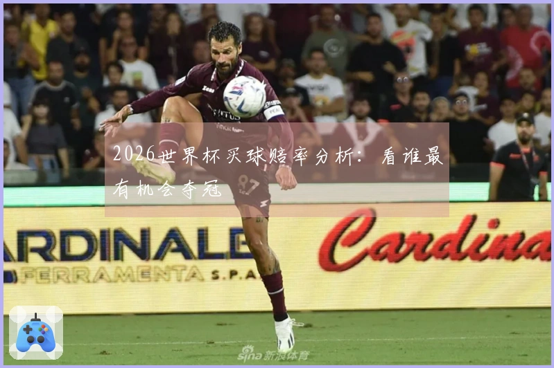 2026世界杯买球赔率分析：看谁最有机会夺冠