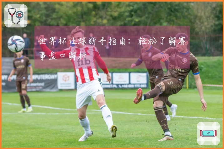 世界杯让球新手指南：轻松了解赛事盘口解析