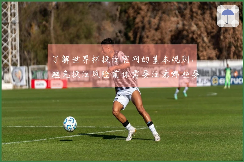 了解世界杯投注官网的基本规则,避免投注风险前你需要注意哪些要素