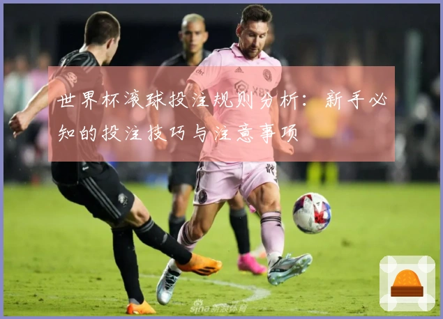 世界杯滚球投注规则分析：新手必知的投注技巧与注意事项