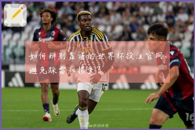 如何辨别靠谱的世界杯投注官网,避免踩雷和损失?