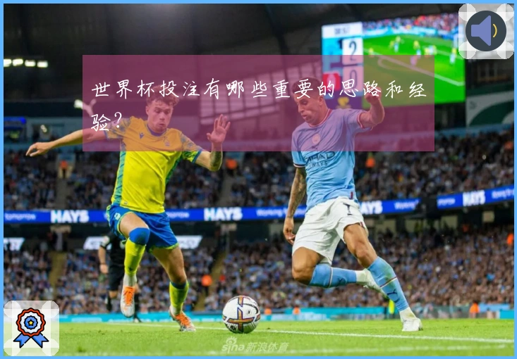 世界杯投注有哪些重要的思路和经验？