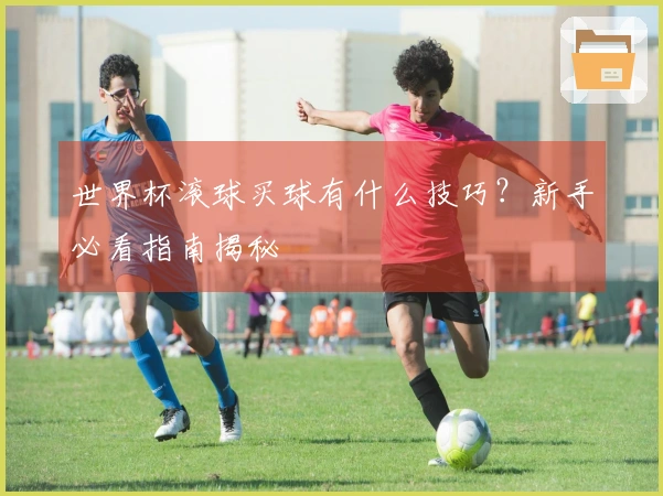 世界杯滚球买球有什么技巧？新手必看指南揭秘