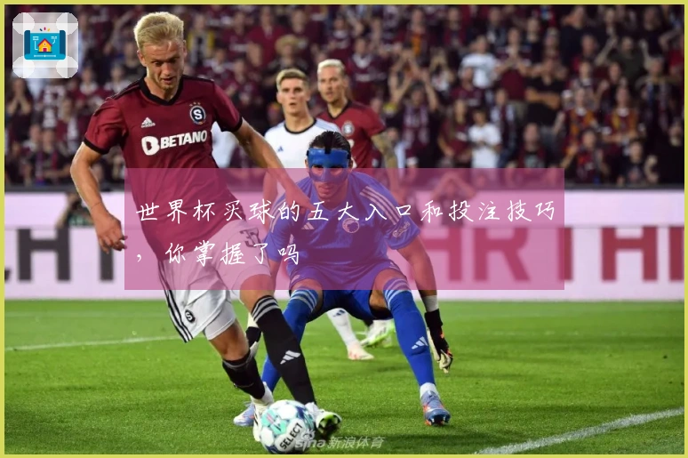 世界杯买球的五大入口和投注技巧，你掌握了吗