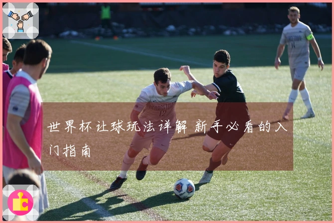 世界杯让球玩法详解 新手必看的入门指南