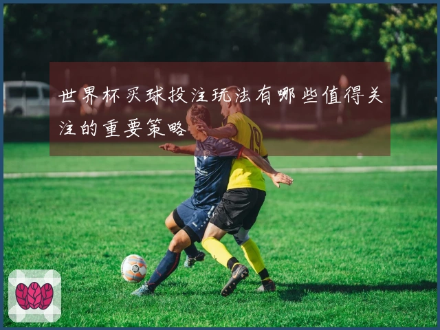 世界杯买球投注玩法有哪些值得关注的重要策略