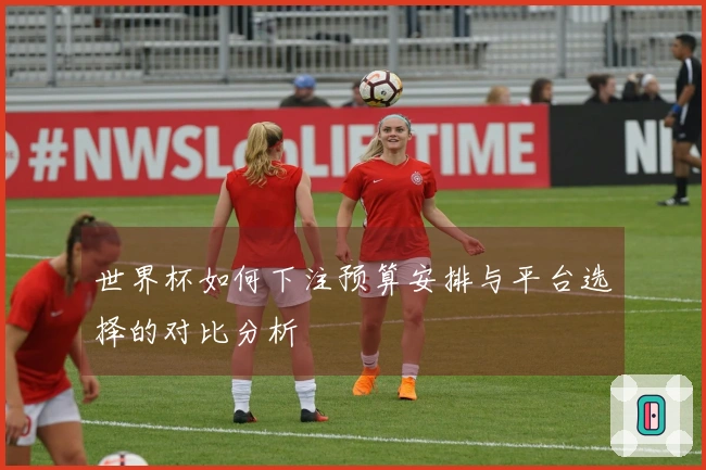 世界杯如何下注预算安排与平台选择的对比分析