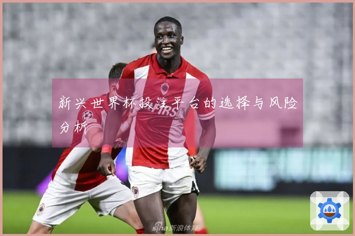 新兴世界杯投注平台的选择与风险分析
