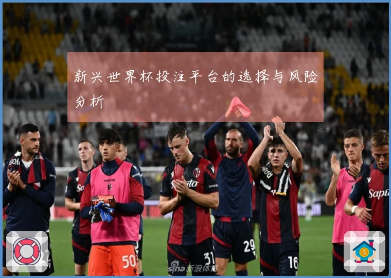 新兴世界杯投注平台的选择与风险分析