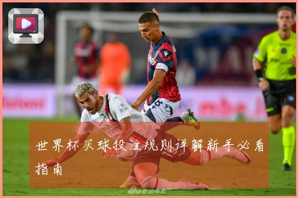 世界杯买球投注规则详解新手必看指南