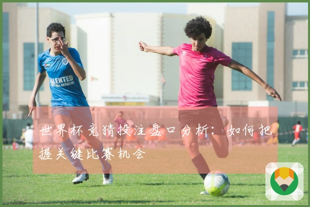 世界杯竞猜投注盘口分析：如何把握关键比赛机会