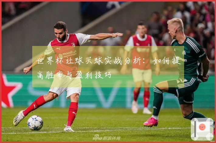 世界杯让球买球实战分析：如何提高胜率与盈利技巧